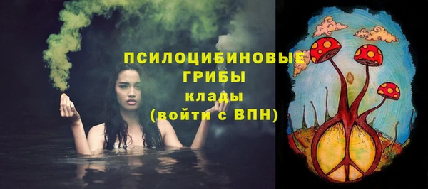 скорость Новозыбков