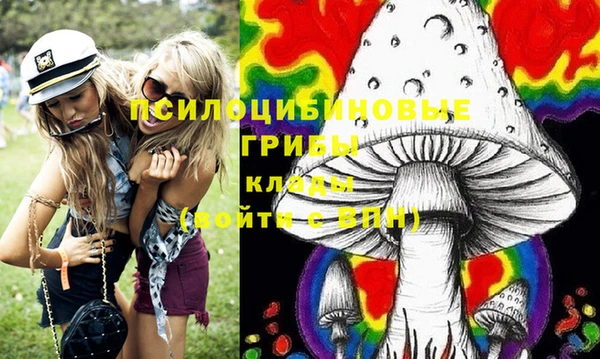 скорость Новозыбков