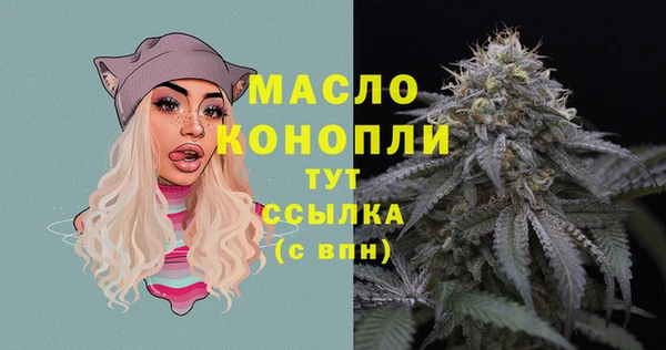 сатива Няндома
