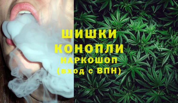 скорость Новозыбков